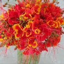 전천후농장 이미지