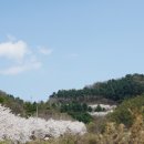 부귀리 마을회관 이미지