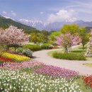 조경기능사(실기) 이미지