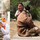 고창석 카카오 검색결과