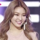 개미용실 이미지