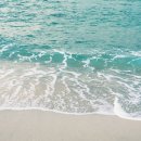 강릉포레스트 이미지