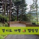 책 속에서 만나는 재미있는 과학교실 (B) | 경기도 가평 캠핑장 추천 | 선택적고립 | 사이트, 전망, 명당, 매점, 시설 상세 후기