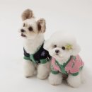 멍뭉(MUNGMOONG) 이미지