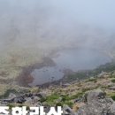 토다게스트