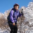 용트림