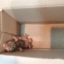 부개파출소 이미지