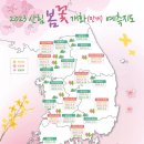 산림청 “봄꽃 이달 개화…내달 중순 전국 절정” 이미지