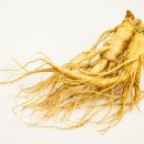 금산국제인삼시장(금산인삼국제시장) 이미지