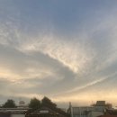 박진희약국 이미지