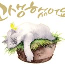 돌깨마을맷돌순두부의왕내손점 이미지