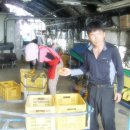 수봉농장 이미지