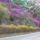 안민고개 쉼터 이미지