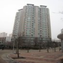 판교원로81번길 이미지