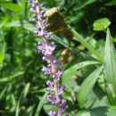 동 문 로 이미지