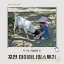 레오목장 | 포천 가볼만한곳 추천! 평강랜드 마이애니멀스토리 24개월 아기 먹이주기 체험 후기