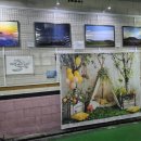 하이존1,2 이미지