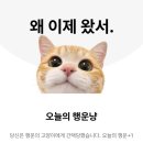 오늘, 커피