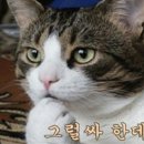 명륜진사갈비배방점