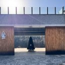 동건스애견카페 | 양평 콘크리트정글 카페 실내 애견동반 후기