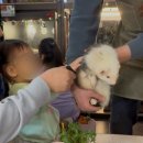 비쥬아 | 아이랑 하루 코스 추천｜실내 동물원 애니멀 라이프 후기