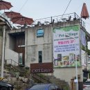 펫빌리지 이미지