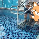 제주도키즈풀빌라빈스 이미지