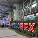 영광건축설비 | 2024 필리핀 마닐라 국제 건축 전시회(Worldbex) 참가기