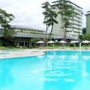 라카이샌드파인 이미지