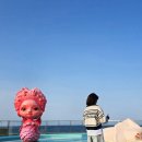 짐엑스 신사시장점 | 강원도 속초 아이랑 실내가볼만한곳 뮤지엄엑스 체험