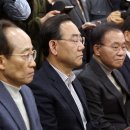 김부겸 카카오 검색결과