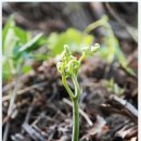 히든밸리펜션 이미지