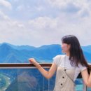 짚와이어체험장 이미지