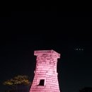 보리문디