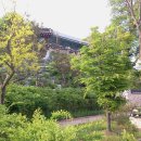 대한조경 - 포항시 북구 한동로 92-1 | 대한조경