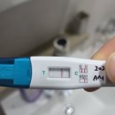 한마음케어 | [ 시험관 일기 ] 창원한마음병원에서 엘르메디로 전원