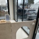 디어퍼피(dear.puppy) | ♡ 디어마이퍼피 ♡