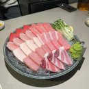 참참치 | 제주공항 근처 맛집 아라동 현지인 추천 이자카야 별참참치