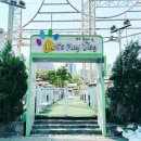 렛츠독 | 부천 웅친 렛츠플레이독 강아지 수영장, 내돈내산 솔직 후기
