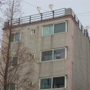 항동로 항동로33번길 이미지