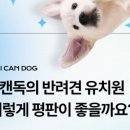 아이캔독 이미지