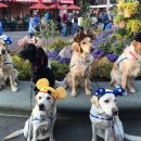 쓰담쓰담 이미지