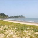 오롯이바다 이미지