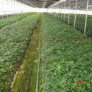 이기춘농장 이미지