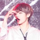 아네모스