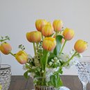 제이;나 플랜트 이미지