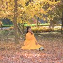 함안향교 이미지