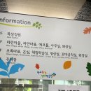 판교환경생태학습원 | 판교환경생태학습원 분당 판교 아이랑 가볼만한 곳, 판교환경생태학습원 주차