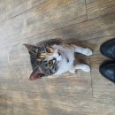 신대덕자동차공업사 이미지