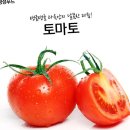 토마토 이미지